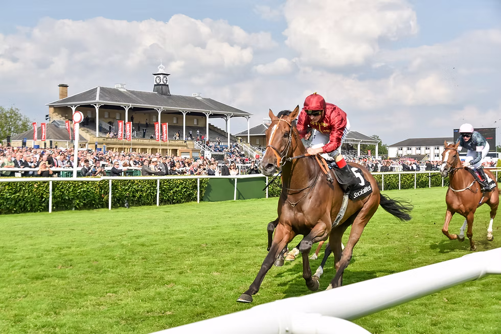 Free Doncaster Horse Racing Tips