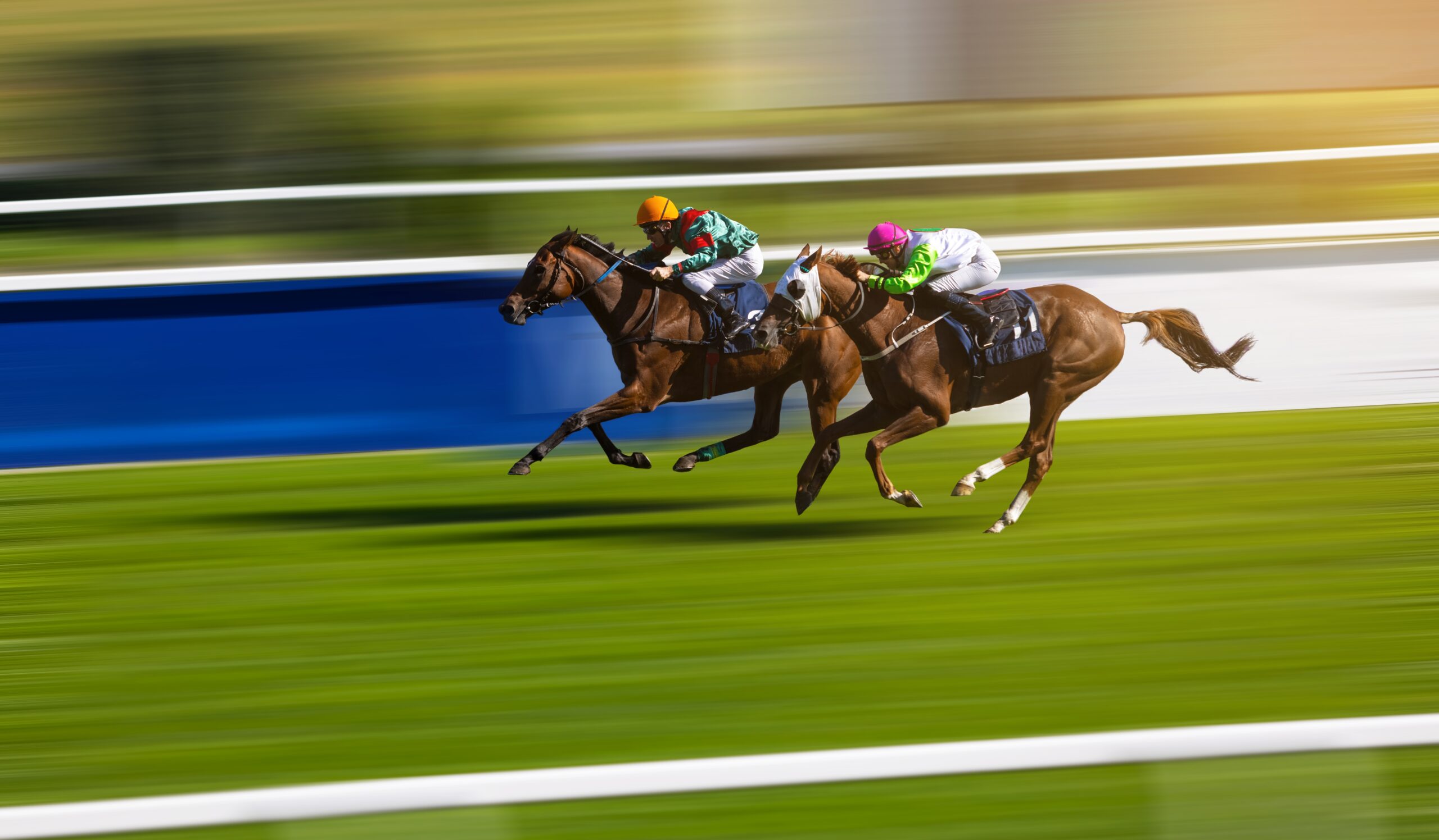Tips for Horse Racing at Cheltenham