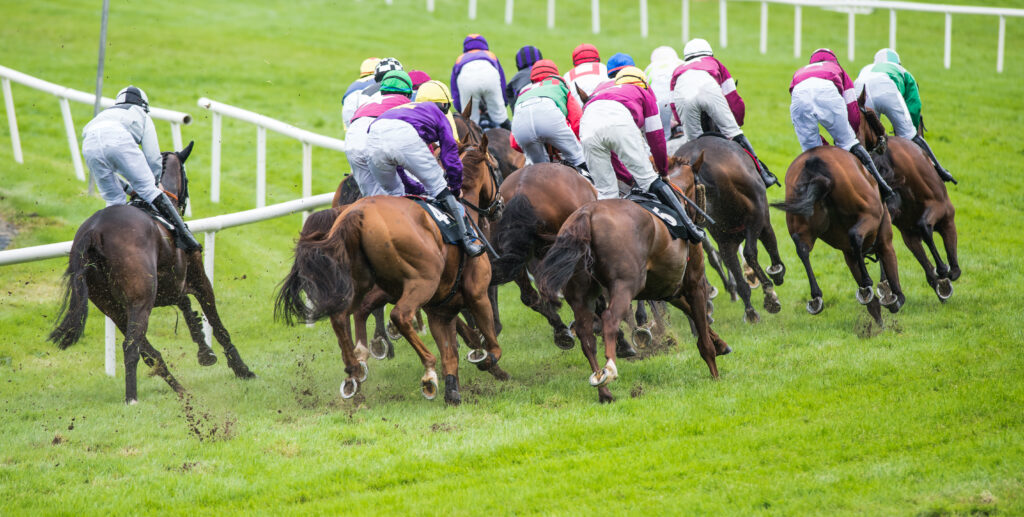 York Horse Racing Tips