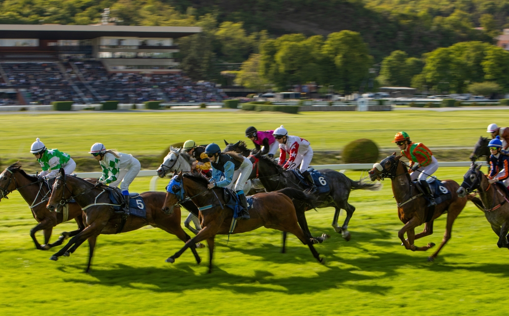 Ascot Racecourse Explained: What Every Racing Fan Needs to Know